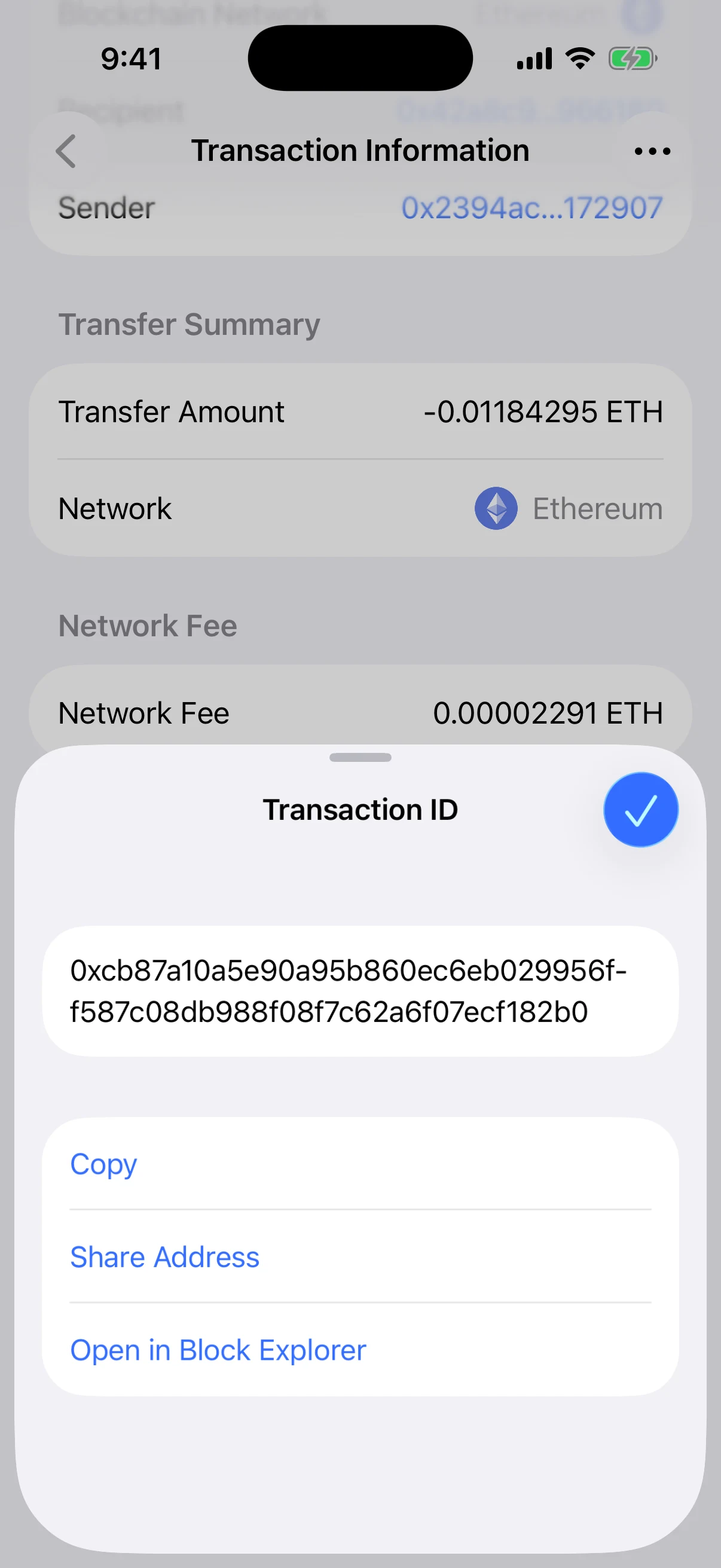 Use the complete transaction ID and matching block explorer Real Oath Transaction ID sheet showing the complete public hash with copy, share, and block-explorer actions