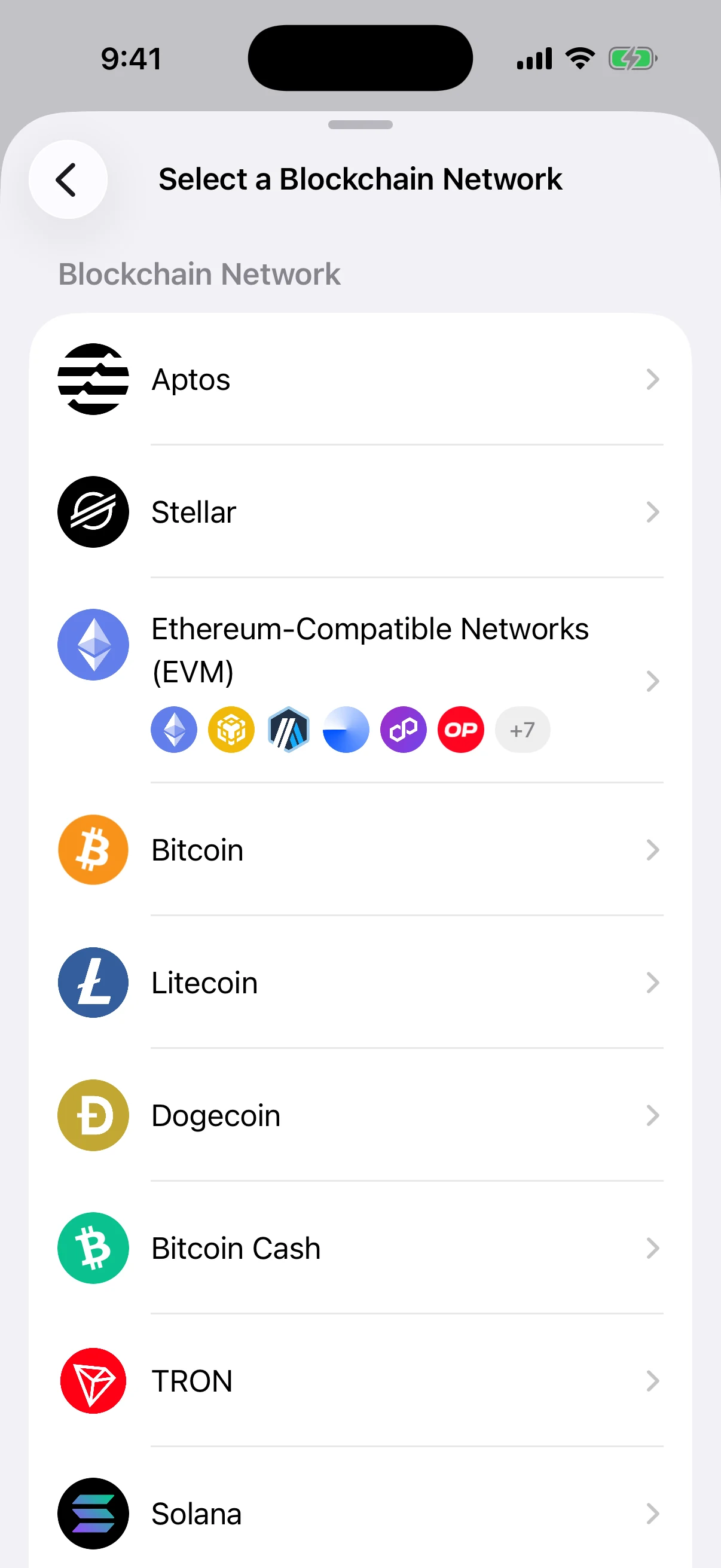 Oath’s real private-key network selector Real Oath private-key network selector showing Aptos, Stellar, EVM networks, Bitcoin, Litecoin, Dogecoin, Bitcoin Cash, TRON, and Solana