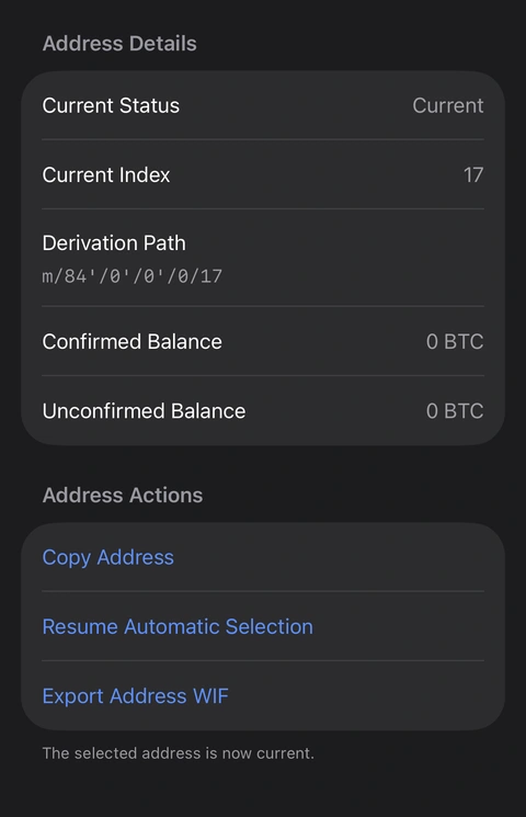 After selection, Current appears and Resume Automatic Selection replaces the selection action. The screenshot ends before any private-key export. Cropped Oath details after index 17 becomes Current, showing Resume Automatic Selection.
