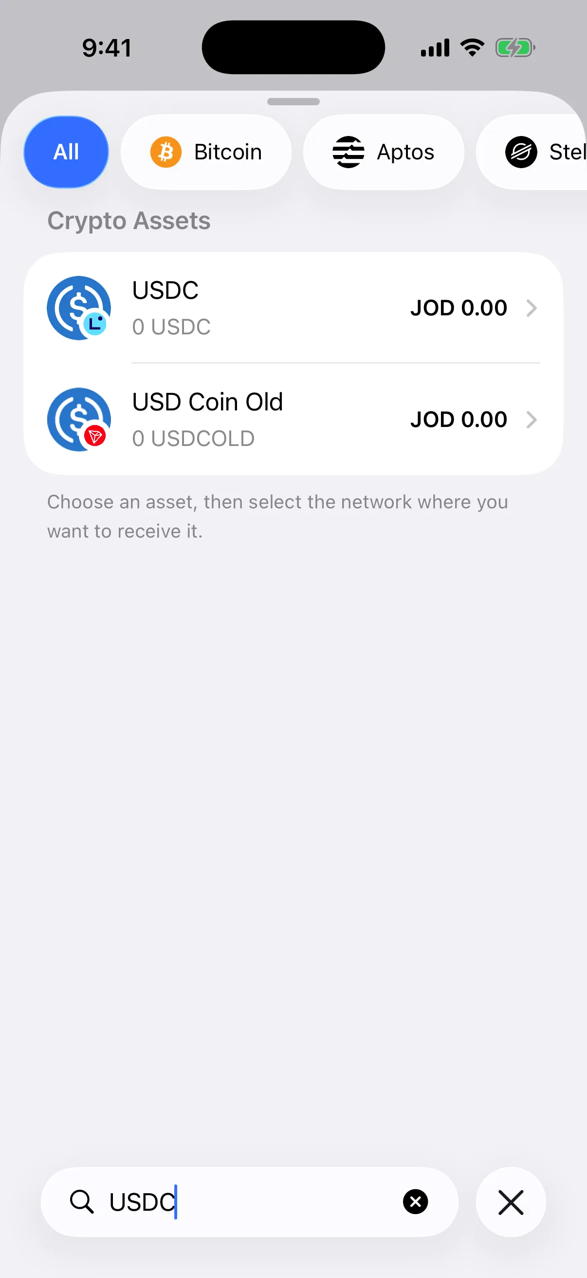 Find the exact asset before opening its receive card Real Oath Receive search results in the iOS Simulator for USDC