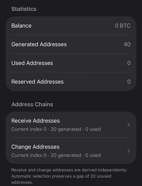 Detail from the Native SegWit account screen. The upper account-key section is excluded from this capture excerpt. A cropped real Oath Native SegWit account screen showing statistics and separate receive and change chains.