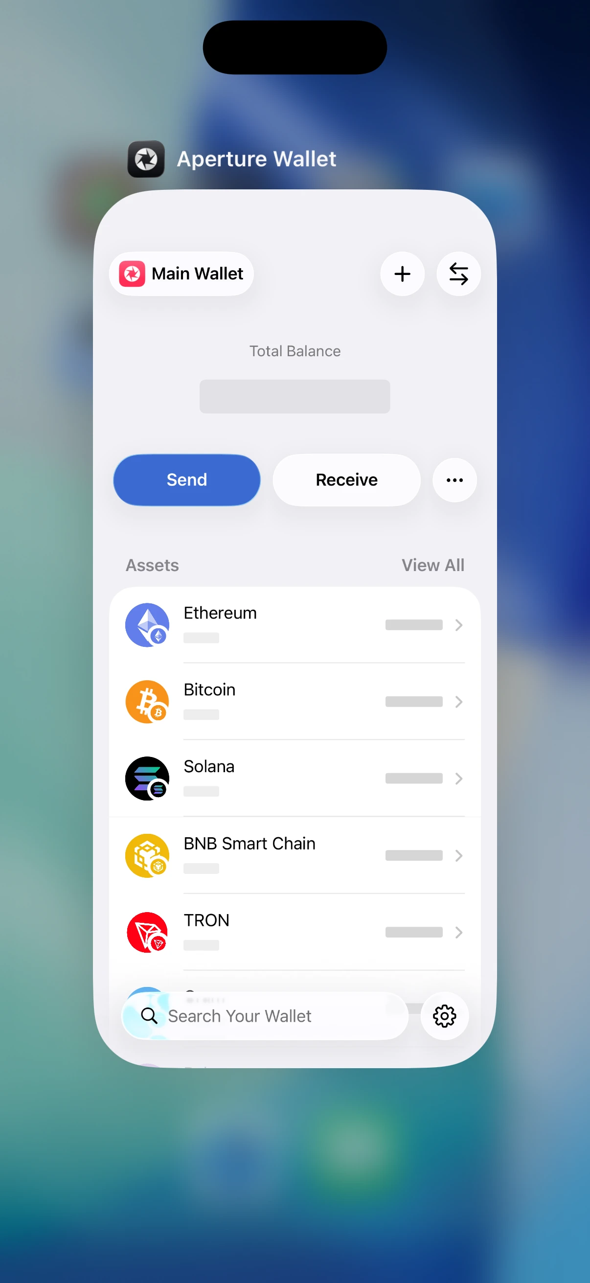 Oath redacts balances in the real iOS app switcher Real iOS Simulator app switcher showing Oath balances replaced by neutral privacy placeholders