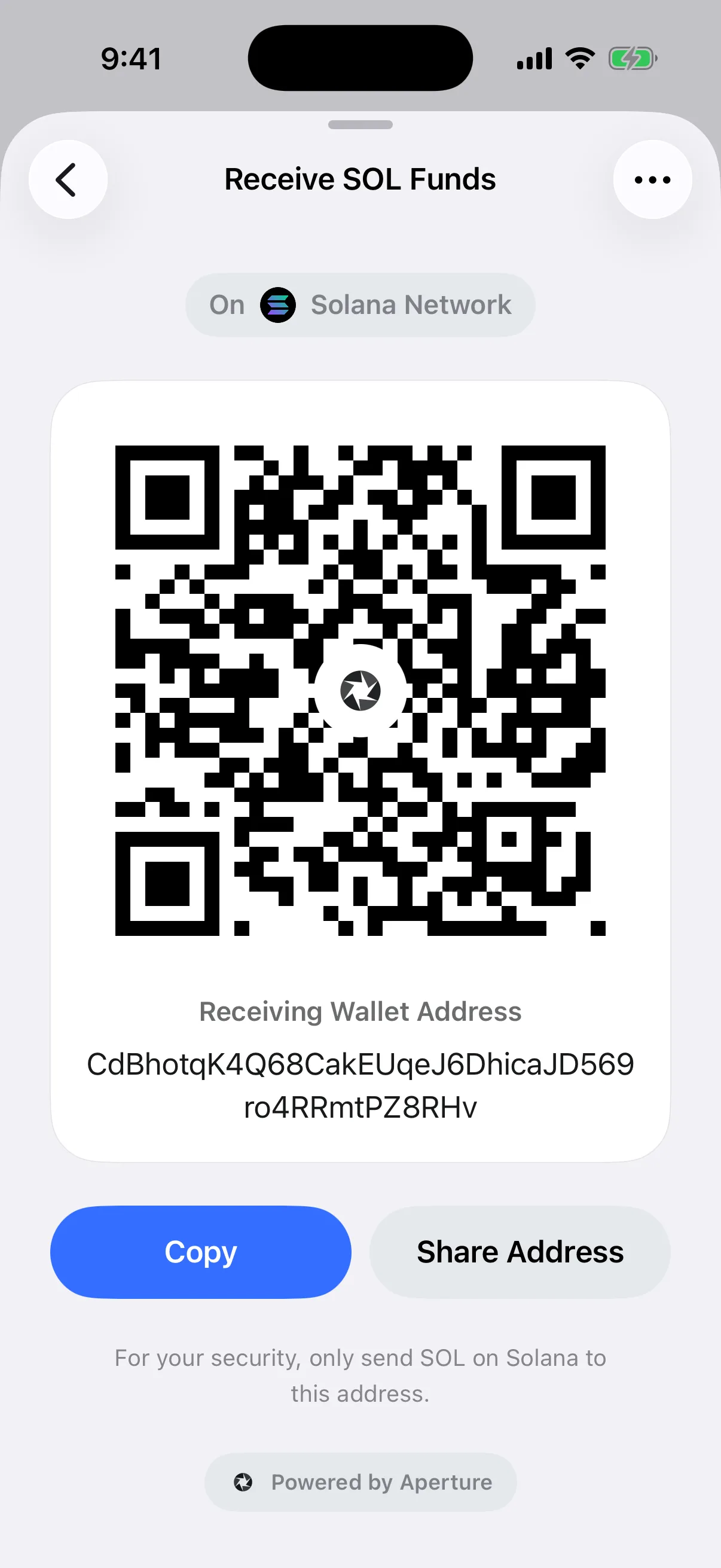 A chain-specific Solana destination Real Oath Solana receive card in the iOS Simulator with the independent Solana address, QR code, and network warning